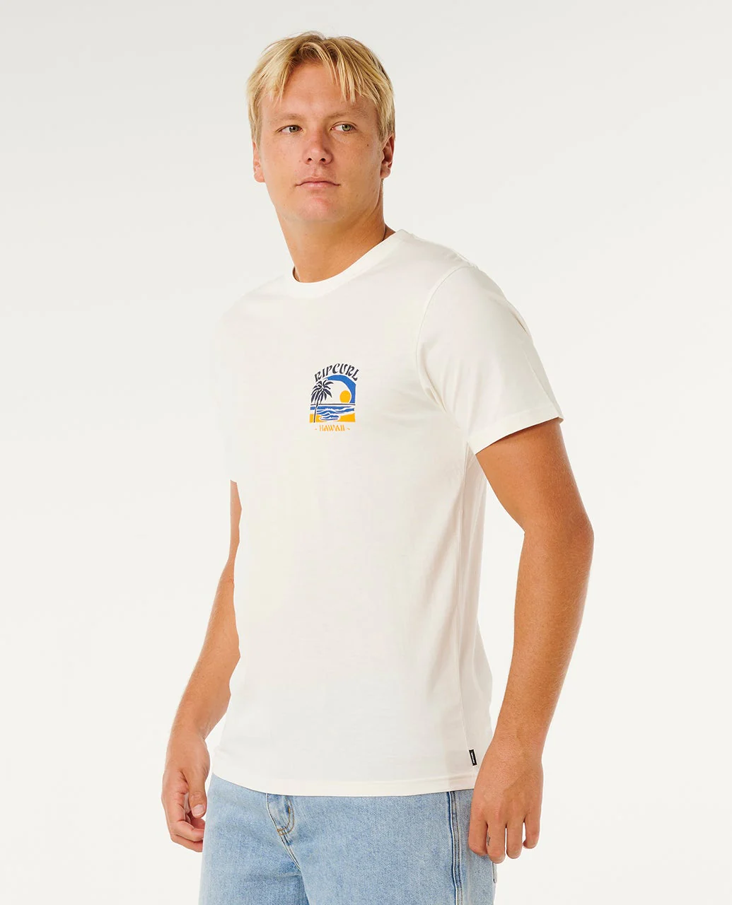 Matisse Short Sleeve Desto Standard Tee