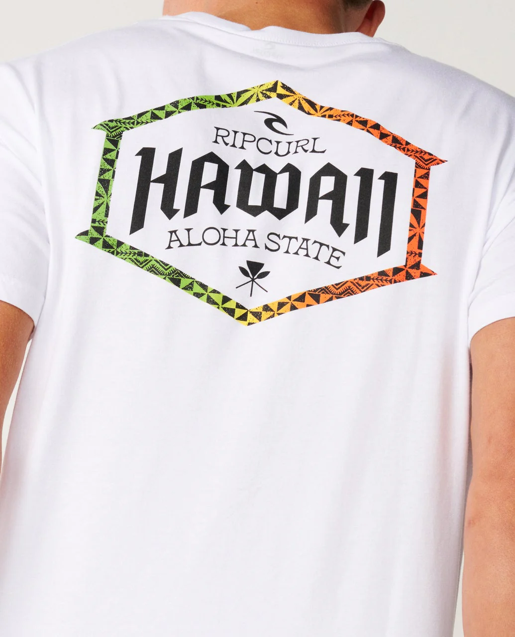 Aloha State Lockup Standard Tee